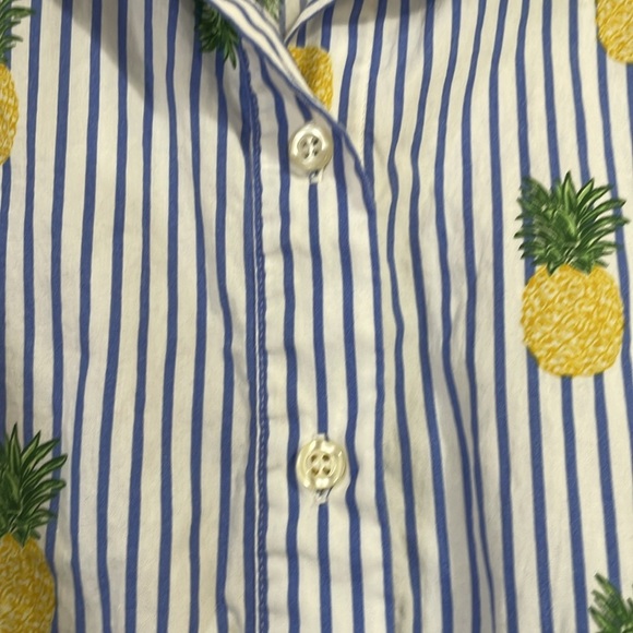 Chloe +Rene Pineapple Design Dress - Picture 6 of 9